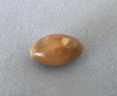 Conch Pearl 7.79 ct Brown Oval 14mm for Sale