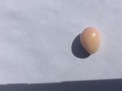 Conch Pearl 8+ carats Tear Drop Shape 13mm
