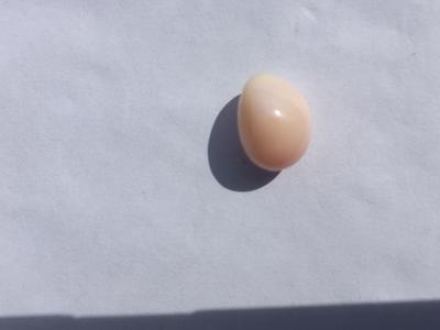 Conch Pearl 8+ carats Tear Drop Shape 13mm