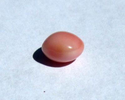 Conch Pearl 8+mm 2+ carats Pink 