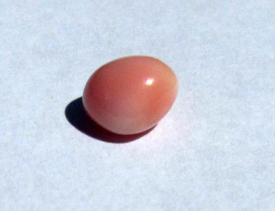 Conch Pearl 8+mm 2+ carats Pink 