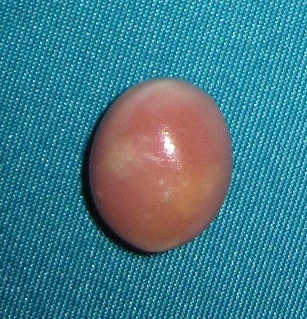 9.40 Carat Conch Pearl