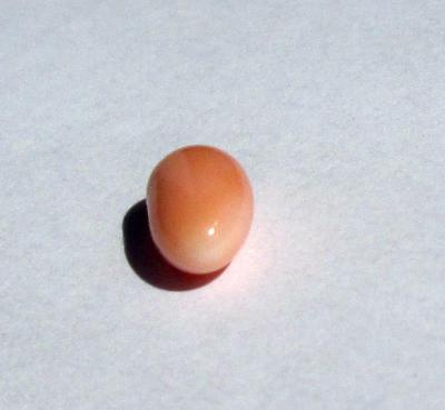 Conch Pearl 9mm Oval Peach Colored