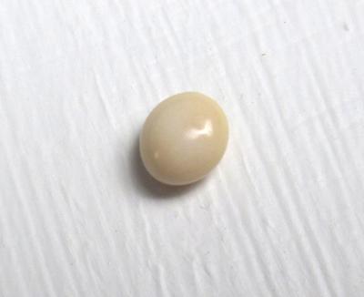 Conch Pearl Beige Button 5mm