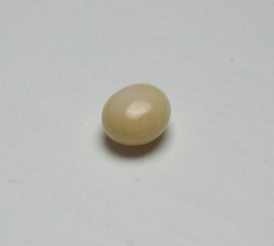 Conch Pearl Beige Button 5mm