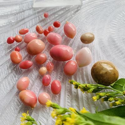 Conch pearl collection 