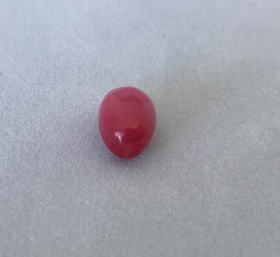 Conch Pearl 6.71 carat