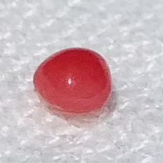 Conch Pearl 0.30 carat Dark Pink Near Round 3mm