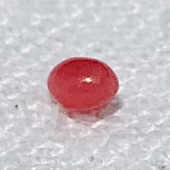 Conch Pearl 0.30 carat Dark Pink Near Round 3mm