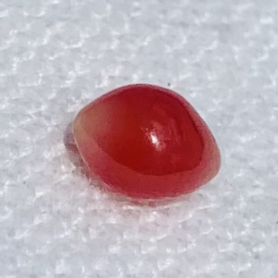 0.95 ct Conch Pearl Dark Pink