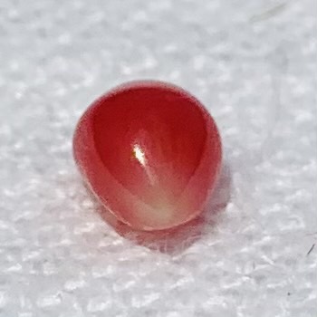 0.95 ct Conch Pearl Dark Pink