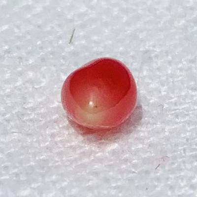 0.95 ct Conch Pearl Dark Pink
