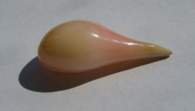 7.66 carats Natural Conch Pearl Drop Shape