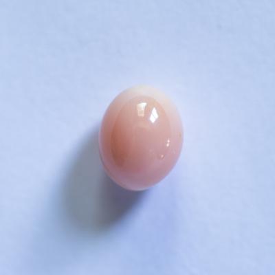 Conch Pearl Egg Shape Light Peach 3+ carat 8mm 
