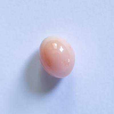 Conch Pearl Egg Shape Light Peach 3+ carat 8mm 