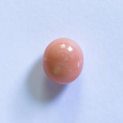 Conch Pearl Egg Shape Peach Color 3+ carat 8mm