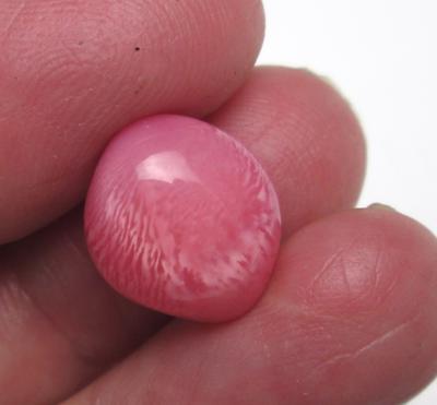 Conch Pearl Full Flame Pink 11 Carat 14mm