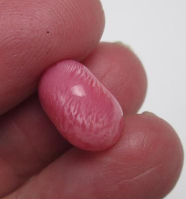 Conch Pearl Full Flame Pink 11 Carat 14mm