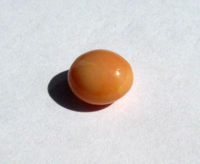 Conch Pearl Light Brown Oval 4+ carats 