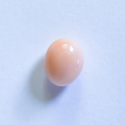 Conch Pearl Light Pastel Egg Shape 2+ carat 8mm 