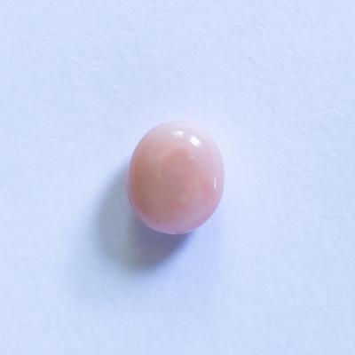 Conch Pearl Light Peach Button Oval 1+ carat 7mm
