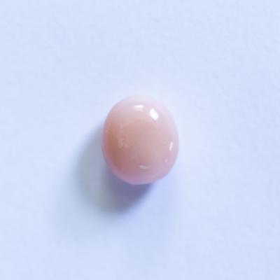Conch Pearl Light Peach Button Oval 1+ carat 7mm