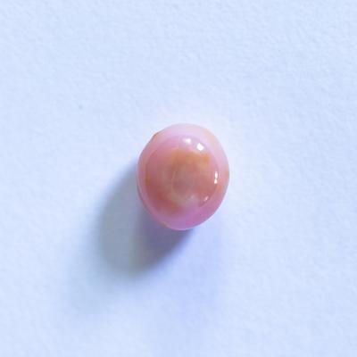 Conch Pearl Light Pink 1+ carat 6mm 