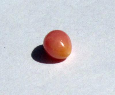 Conch Pearl Light Pink 1+ carats