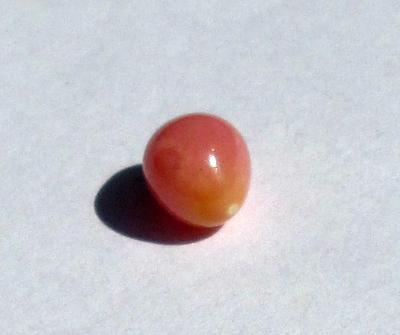 Conch Pearl Light Pink 1+ carats