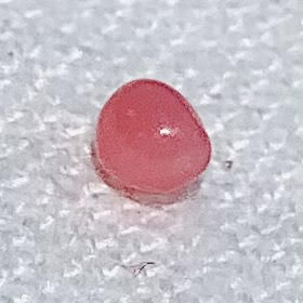 0.42ct Conch Pearl Light Pink Oval Baroque