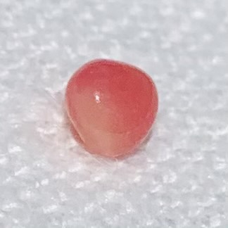 0.42ct Conch Pearl Light Pink Oval Baroque