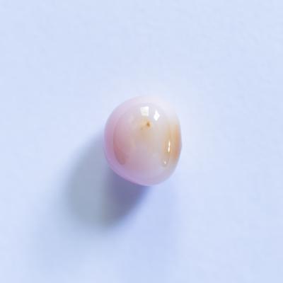 Conch Pearl Oval Beige 2+ carat 7mm 