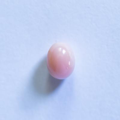 Conch Pearl Pale Pink Oval 1+ carat 7mm