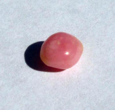 Conch Pearl Pink 1+ carats Oval Shape