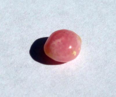 Conch Pearl Pink 1+ carats Oval Shape
