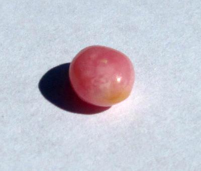 Conch Pearl Pink 1+ carats Oval Shape