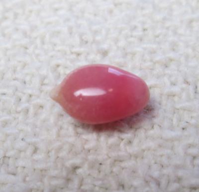 conch pearl
