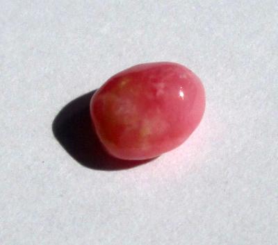 Conch Pearl Pink 7mm 1+ carats