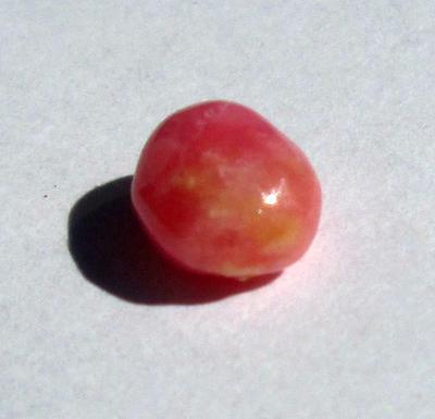 Conch Pearl Pink 7mm 1+ carats