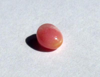 Conch Pearl Pink Button Shape