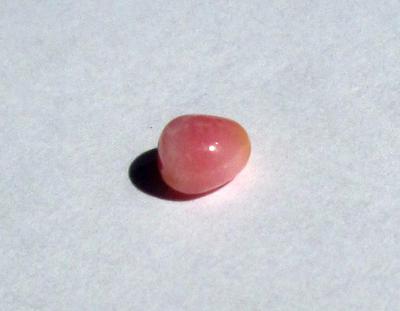 Conch Pearl Pink Button Shape