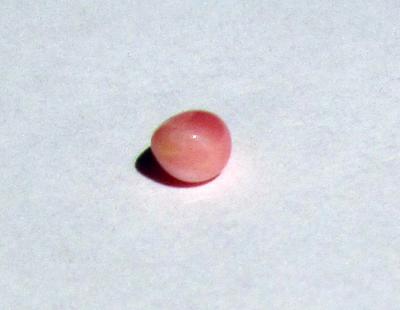 Conch Pearl Pink Button Shape