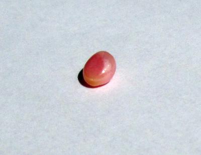 Conch Pearl Pink Button Shape