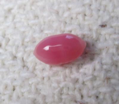 Conch Pearl Pink Oval 7mm