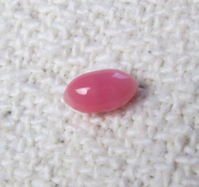 Conch Pearl Pink Oval 7mm