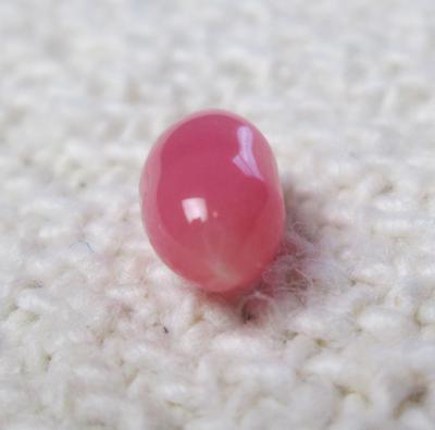 Conch Pearl Pink Oval 7mm