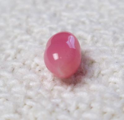 Conch Pearl Pink Oval 7mm