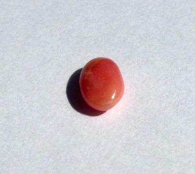 Conch Pearl Pink Oval Just Under a Carat 