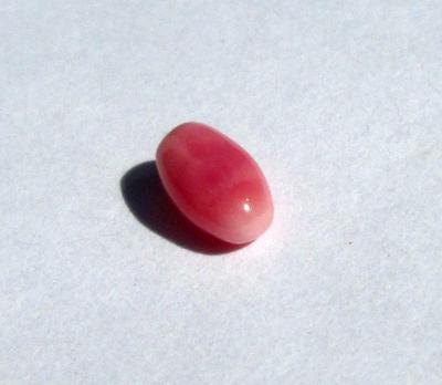 Conch Pearl Pink Oval Shape 7mm