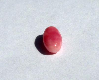 Conch Pearl Pink Oval Shape 7mm